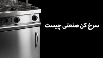 ommercial fryer cooking french fries